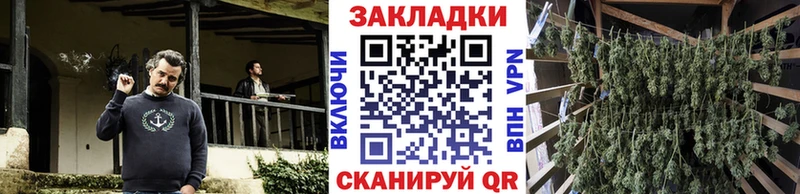 Где продают наркотики Орск Каннабис  ссылка на мегу сайт  ГАШИШ  Cocaine  Alpha PVP 