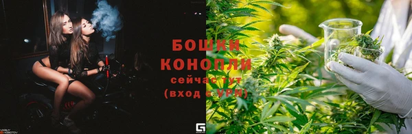 дживик Абаза