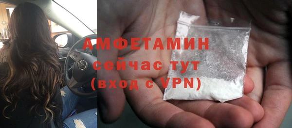 дживик Абаза