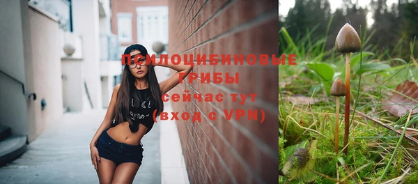 тгк Абдулино