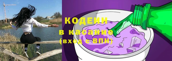 крисы Елизово