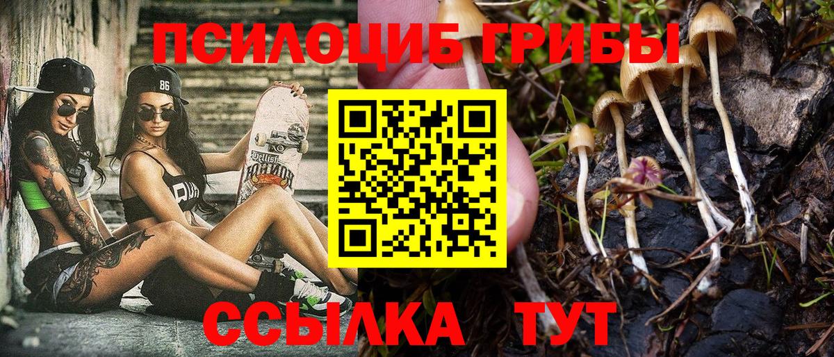 Орск  Псилоцибиновые грибы прущие грибы  Вход с VPN  Галлюциногенные грибы мицелий 